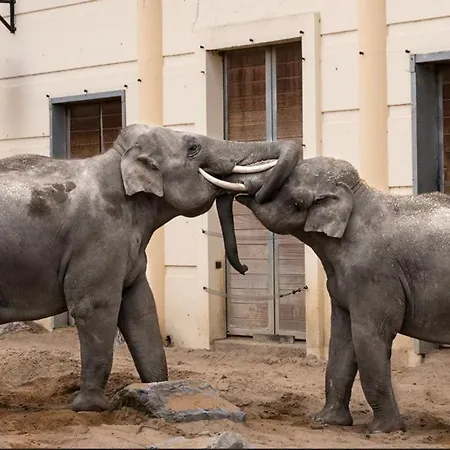 La Petite Maison بيت للعطل Bienne-lez-Happart