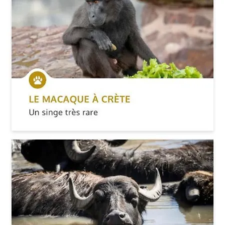 La Petite Maison Bienne-lez-Happart